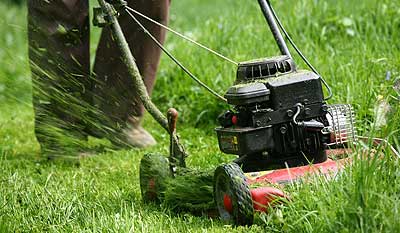 Keep Your Property's Lawn Beautiful Year-Round