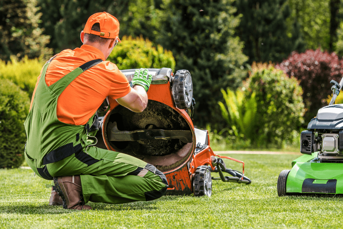 Lawn Mowing & Maintenance