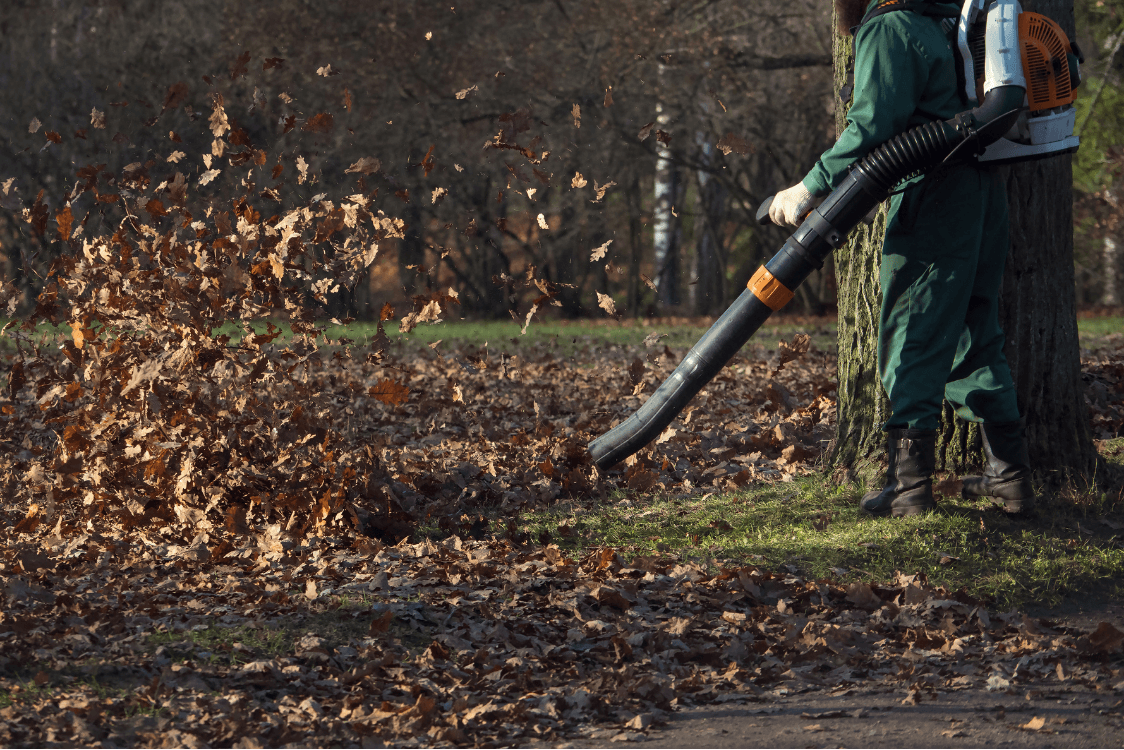 Leaf Removal