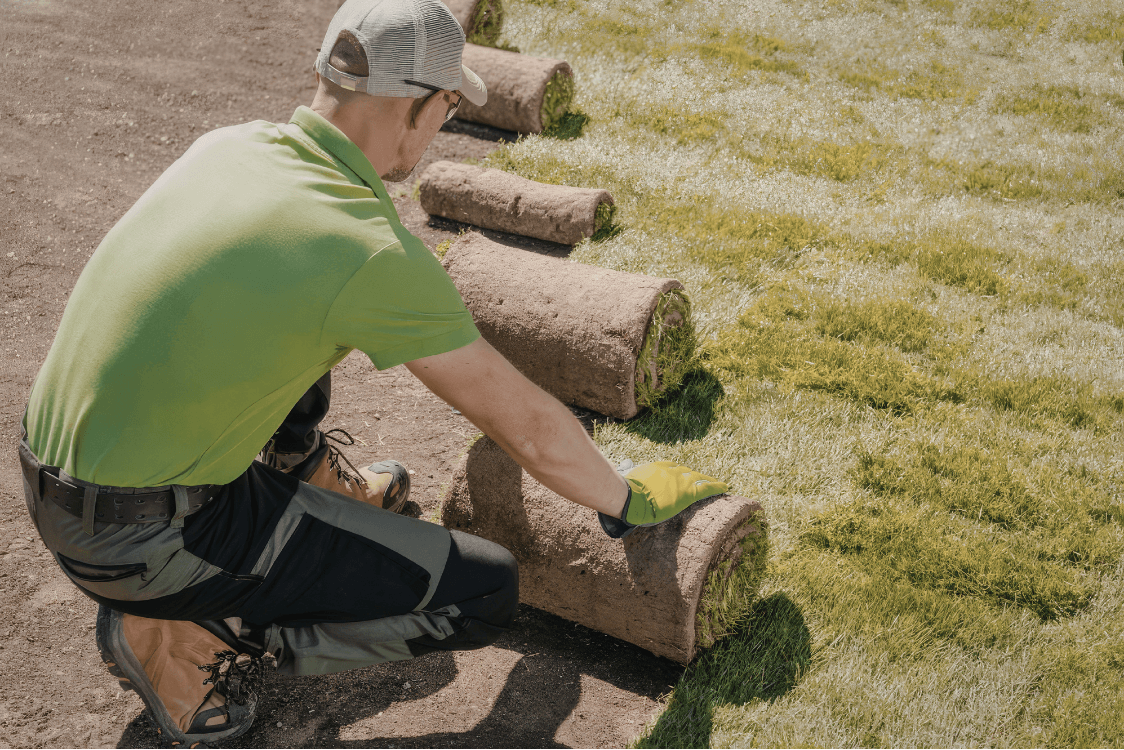 Sod Installation