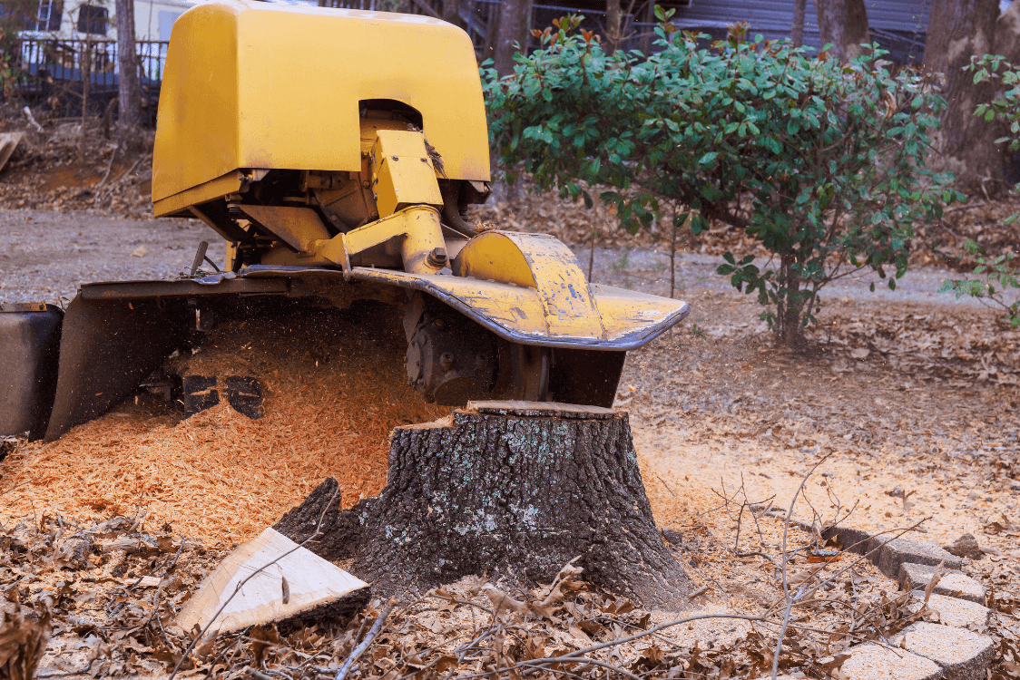 Stump Grinding