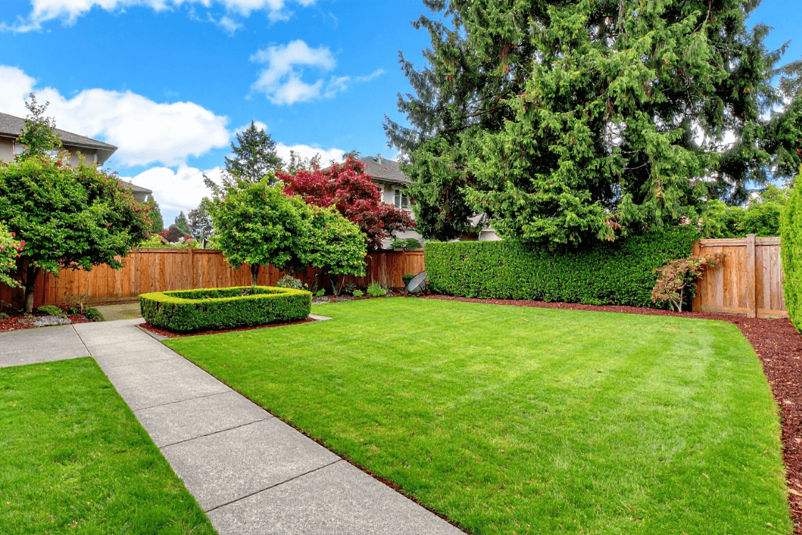 Fence Installation & Repair