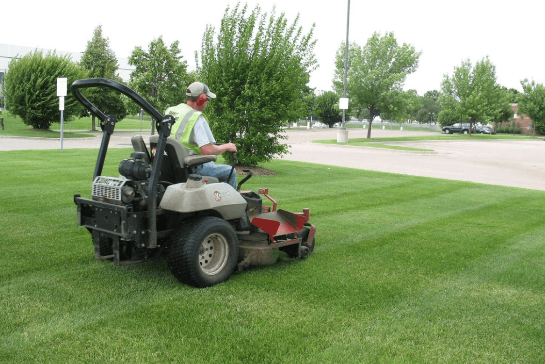 Lawn Mowing & Maintenance service