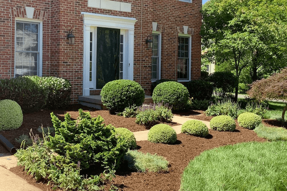 Clean Ups & Mulching