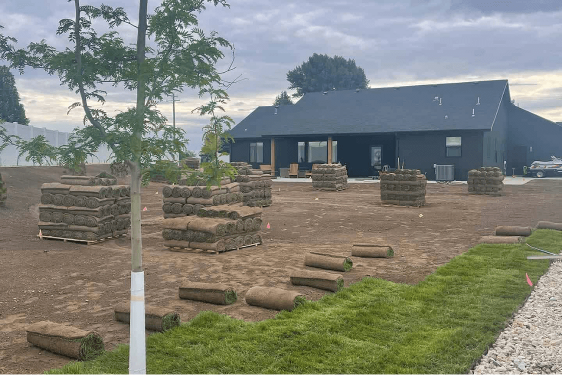 Sod Installation