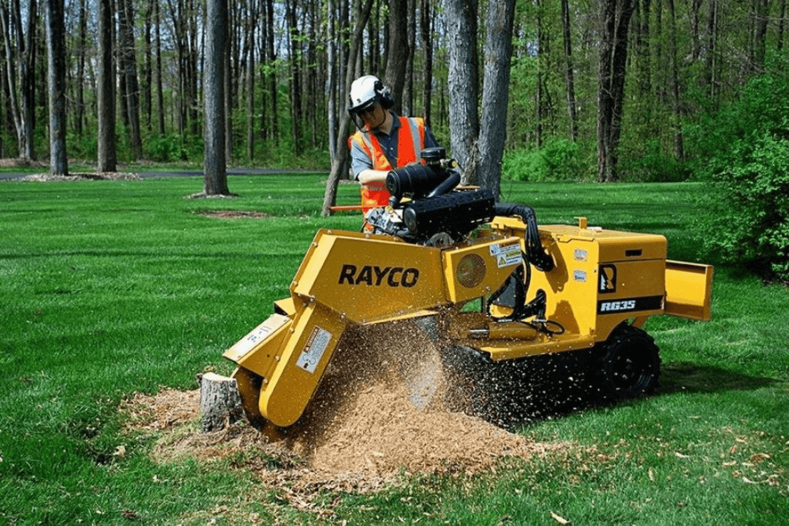 Stump Grinding