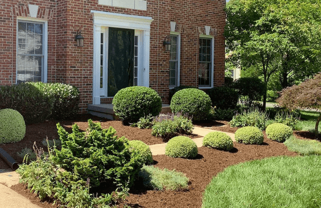 Clean Ups & Mulching service